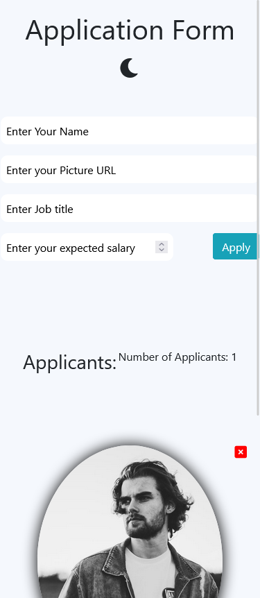 Job Application Form | Ibrahim Mohamed Portfolio